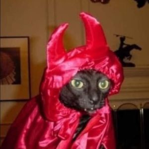 Meet your Posher, Yinara